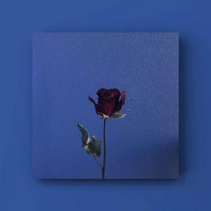 网爆合成杨幂视频在线观看
