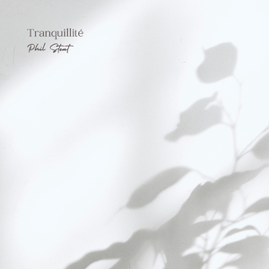 网爆合成杨幂视频在线观看
